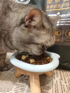 醇粹黑标猫粮冻干成猫幼猫旗舰店官方十大品牌排行榜正品纯粹5kg