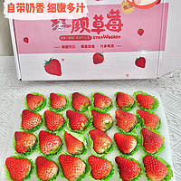 京鲜生29.9一箱的丹东红颜草莓收到了，没人能拒绝好吃又好看的红颜草莓吧！