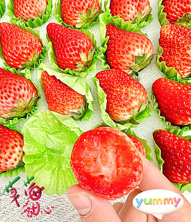 京鲜生29.9一箱的丹东红颜草莓收到了，没人能拒绝好吃又好看的红颜草莓吧！
