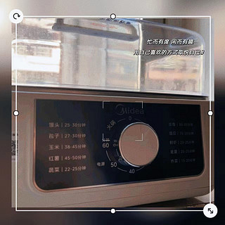 美的（Midea）电蒸锅 ZGE2522T70 