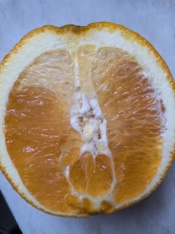 佳农橙子