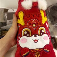 宠物年货穿新衣
