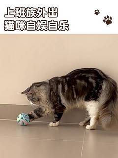 猫咪自嗨玩具