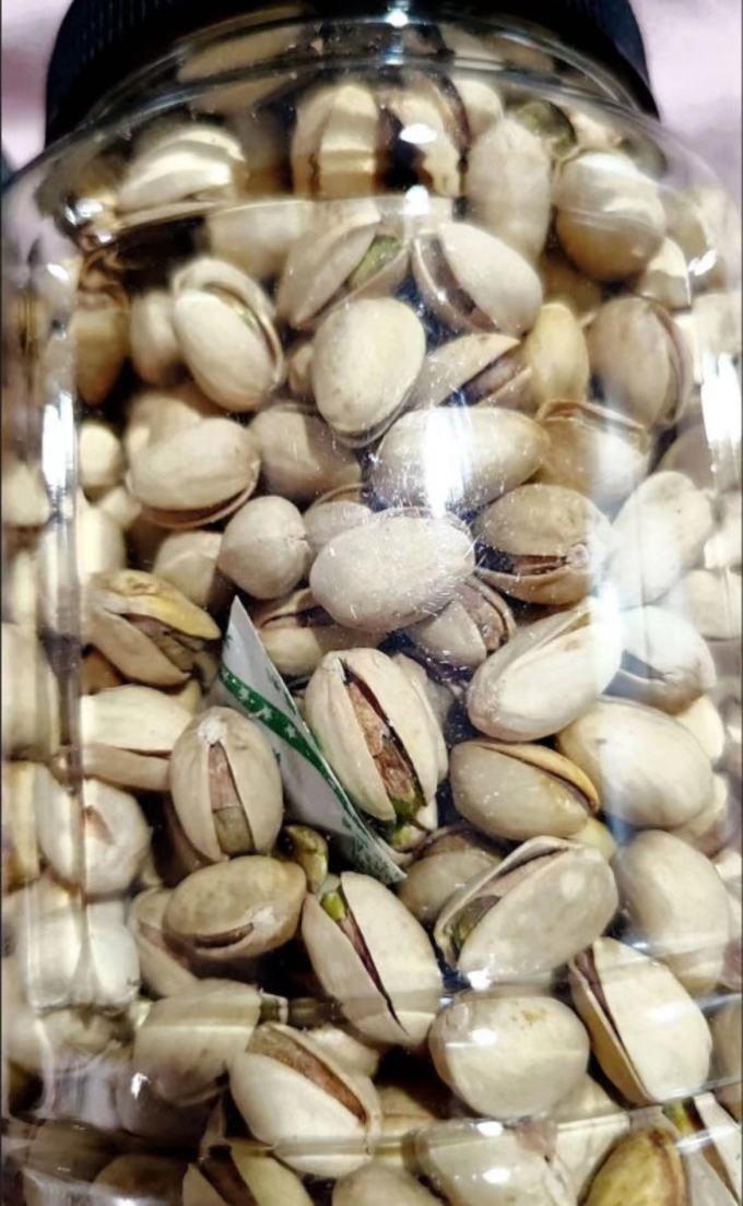 憨豆熊开心果