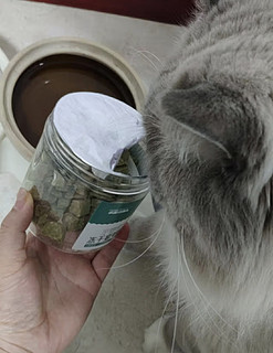 疯狂的主人猫零食猫草粒冻干棒幼小猫磨牙棒化毛去毛棒猫咪用品免种即食50克