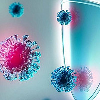 检查报告白细胞低免疫力差，人们都用人参皂苷Rh2单体提高免疫力