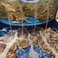 珍宝蟹好吃不