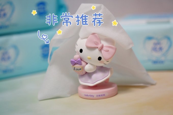 纸品湿巾