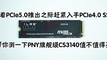 【大话存储】 篇二十一：趁着PCIe5.0推出之际赶紧入手PCIe4.0 SSD，帮你测一下PNY旗舰级CS3140值不值得买