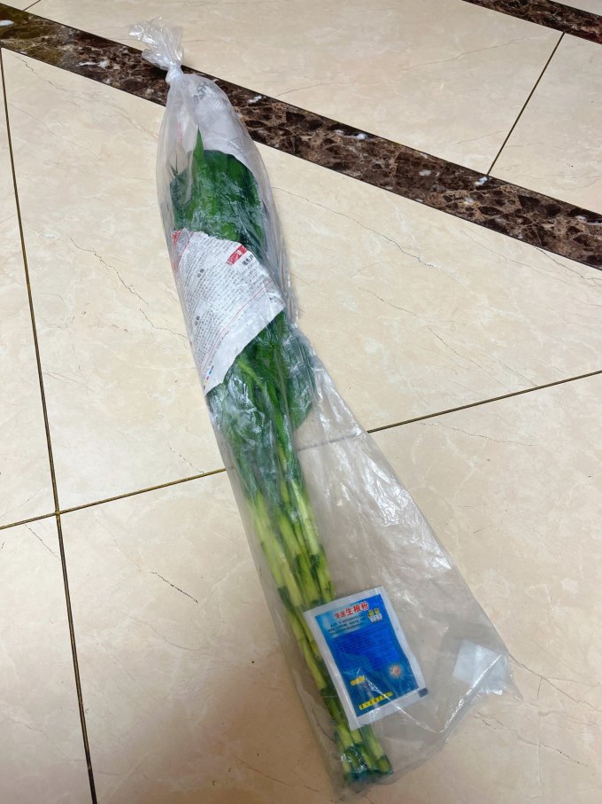 京东鲜花盆栽
