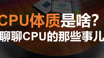 CPU的体质是啥？咋看？聊聊CPU的那些事儿