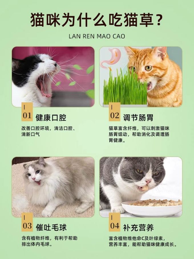 网易严选猫零食