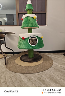 四百买的山姆圣诞树猫爬架，结果主子是怎么都不爱玩！