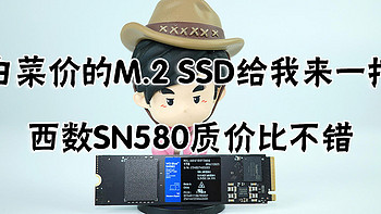 【大话存储】 篇二十二：白菜价的M.2 SSD给我来一打，西数SN580质价比不错 