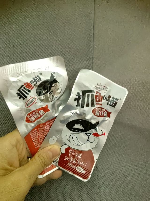 抓鱼的猫小鱼仔