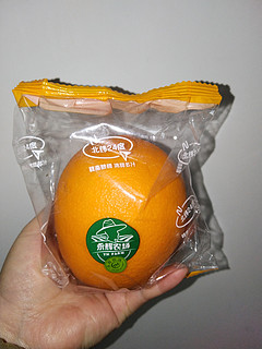 来自北纬24度的超级爆汁美味的橙子