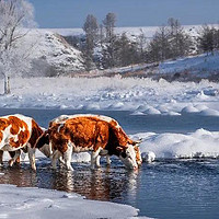 一年降雪7个月，童话冰雪王国照进现实！