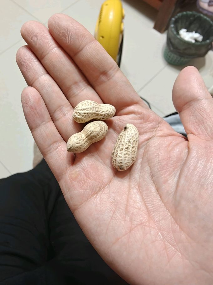 老灶煮坚果炒货