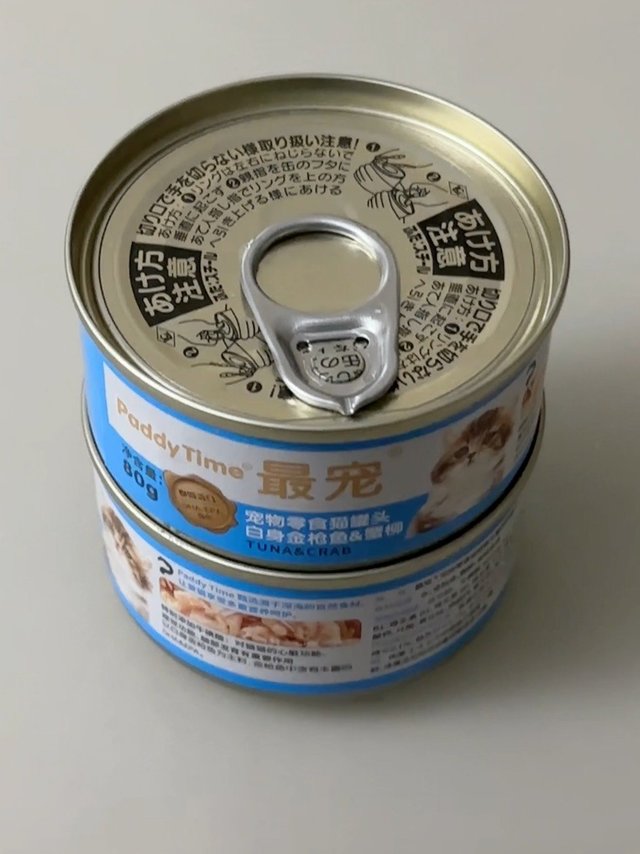 猫咪也要过新年