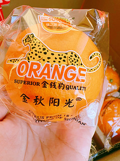 金秋阳光橙子🍊