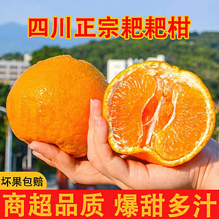 闽域寻鲜四川春见耙耙柑 特级9斤橘子丑橘