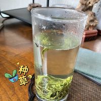 上班族绿茶日记，畅饮人生的元气！🌟