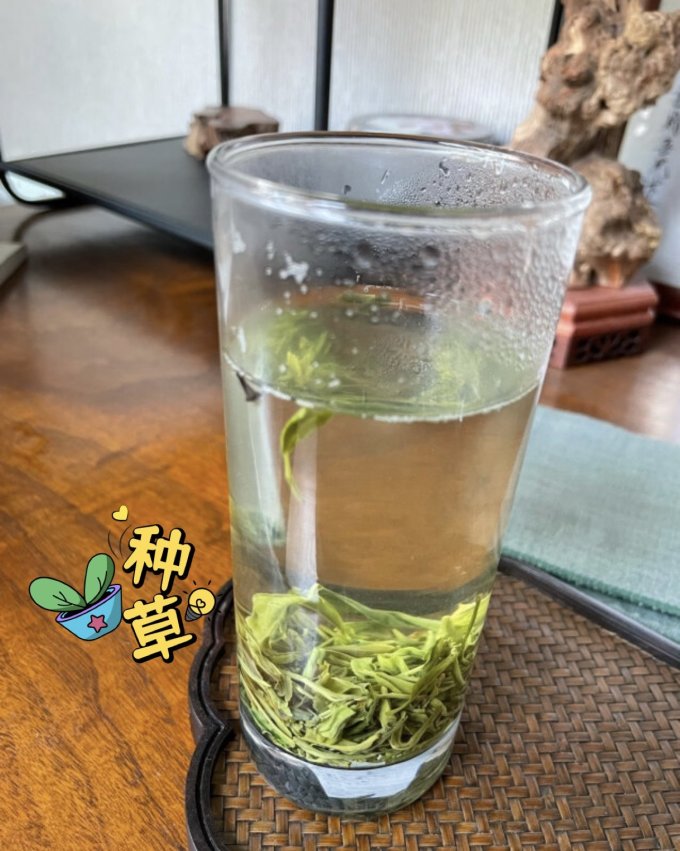 云岭茶业绿茶