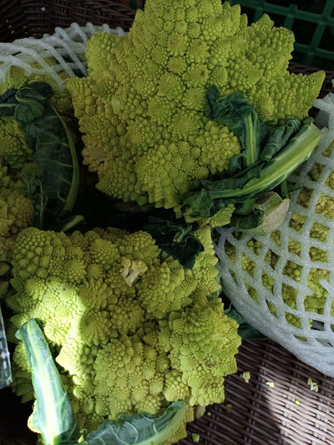 绿食者蔬菜