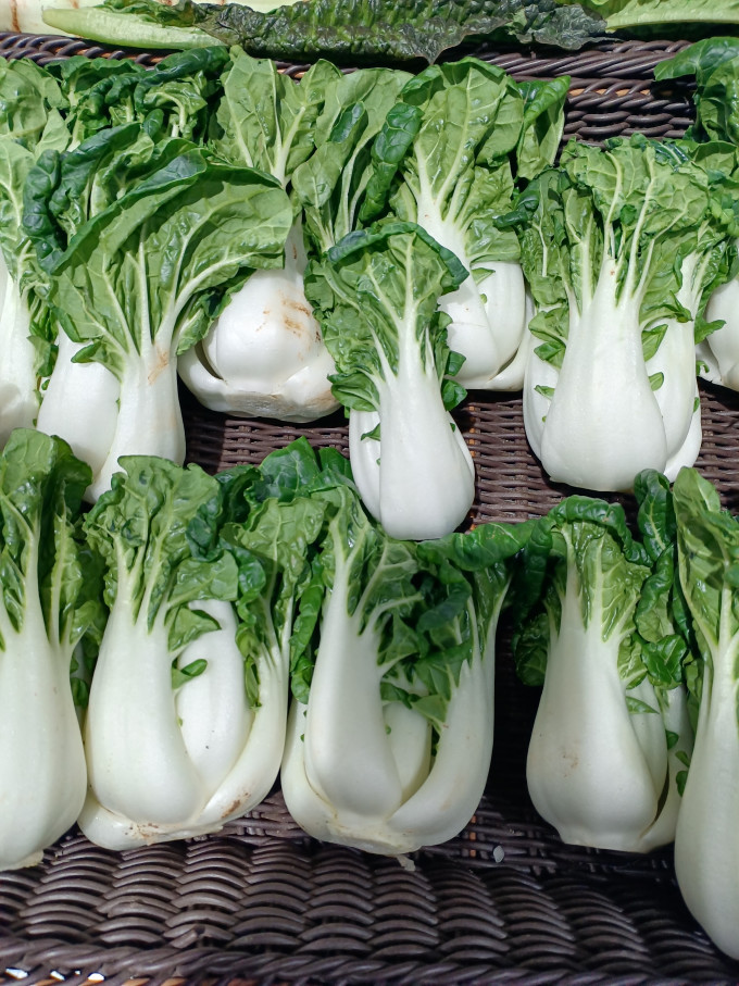 绿食者蔬菜