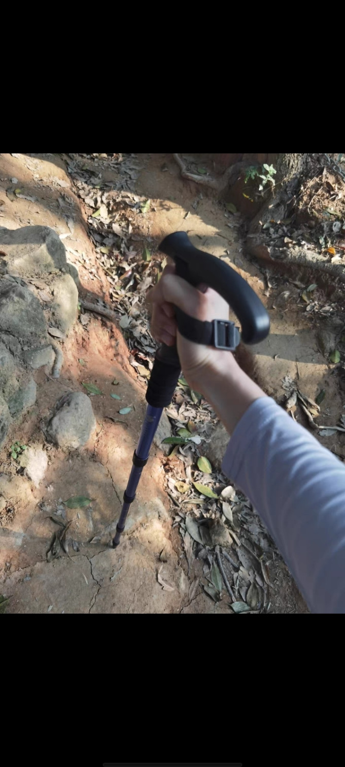 骆驼手杖