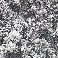 冬季徒步登山赏雪