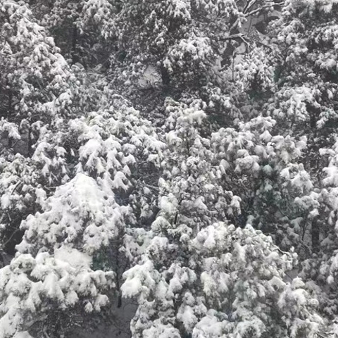 冬季徒步登山赏雪