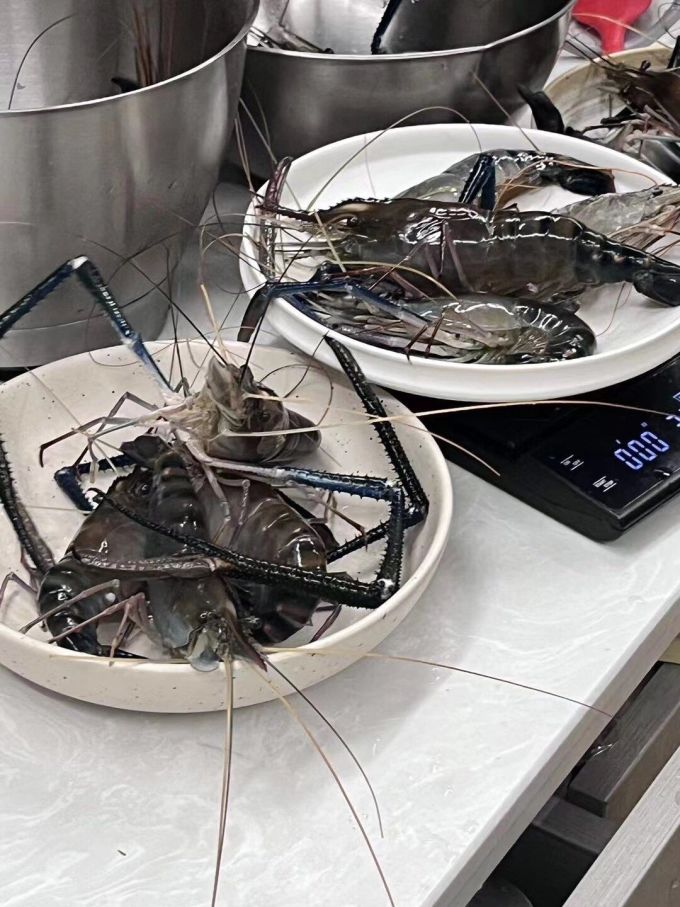 沢素湾虾类