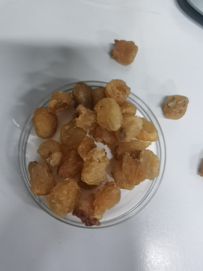 果夫子功能营养