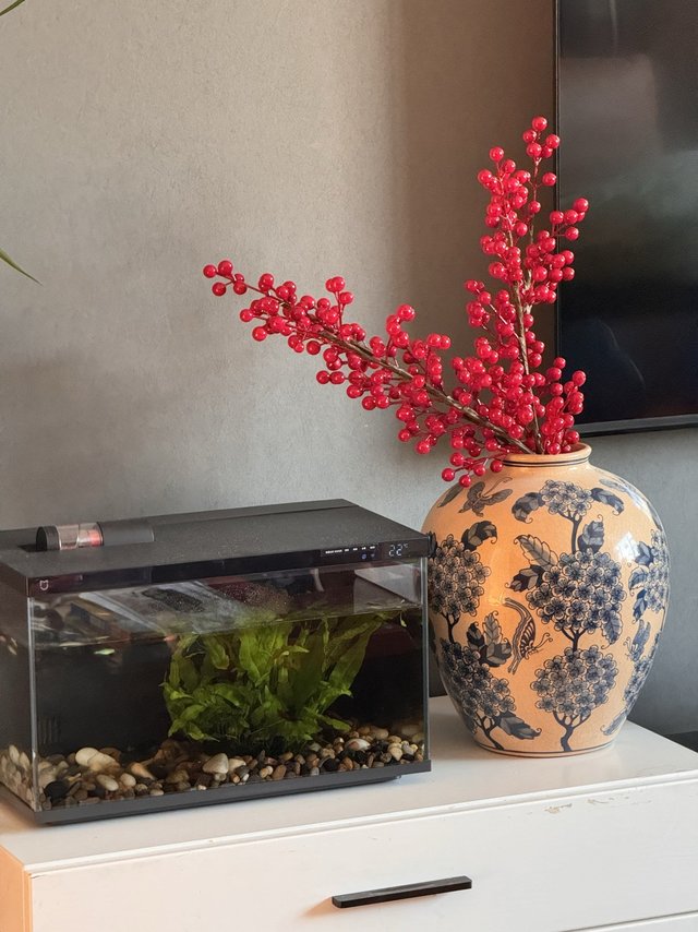 新年新装饰，漂亮喜庆的红果子