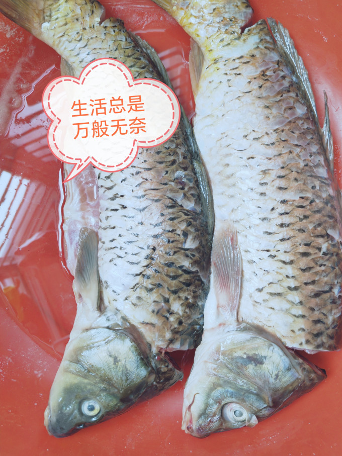 查干湖其他文化娱乐