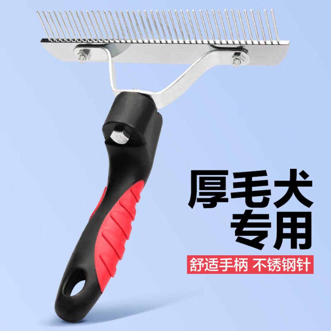 小猫的身上干干净净,浮毛没有了