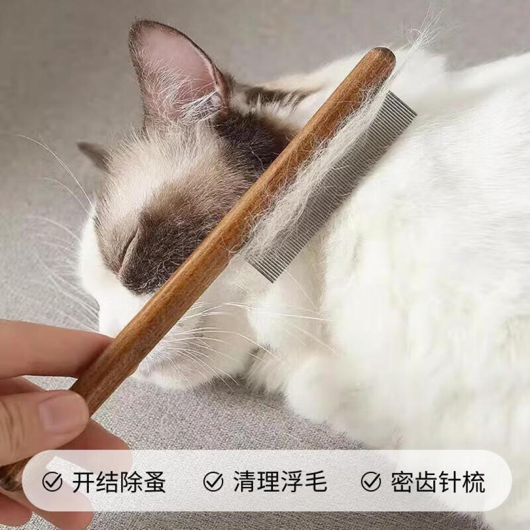小猫的身上干干净净,浮毛没有了