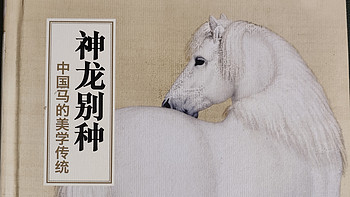 读书笔记 篇十五：《神龙别种》中国马的美学传统