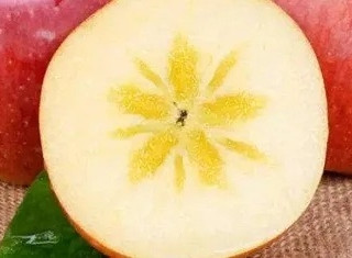 糖心苹果你爱吗？