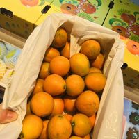 广西柳州融安金桔