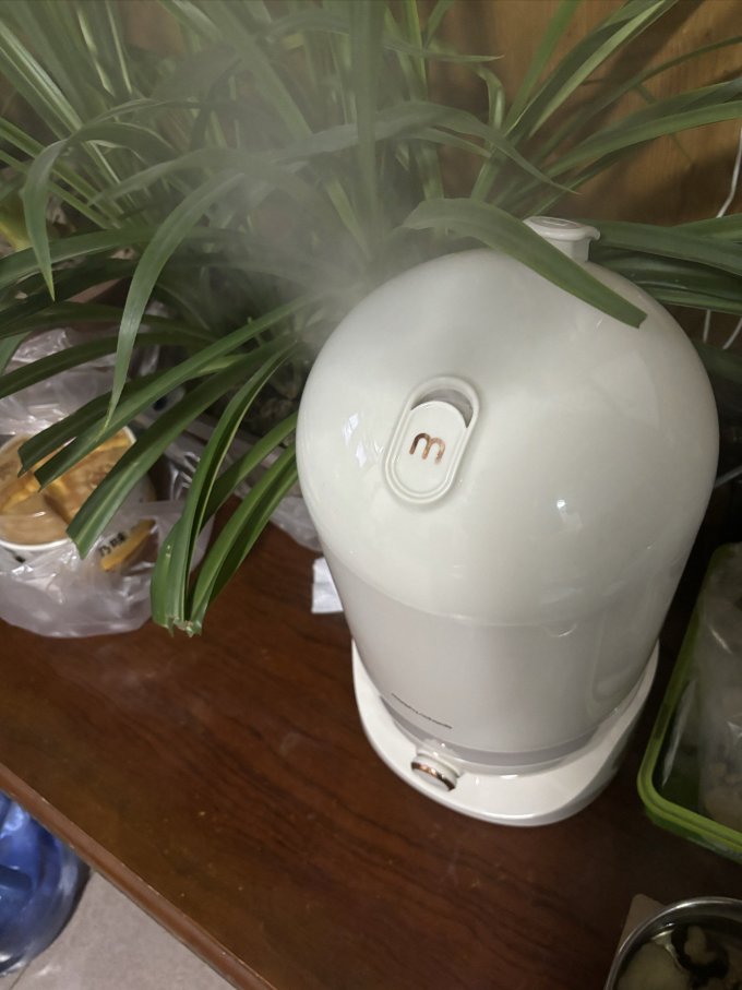 摩飞加湿器