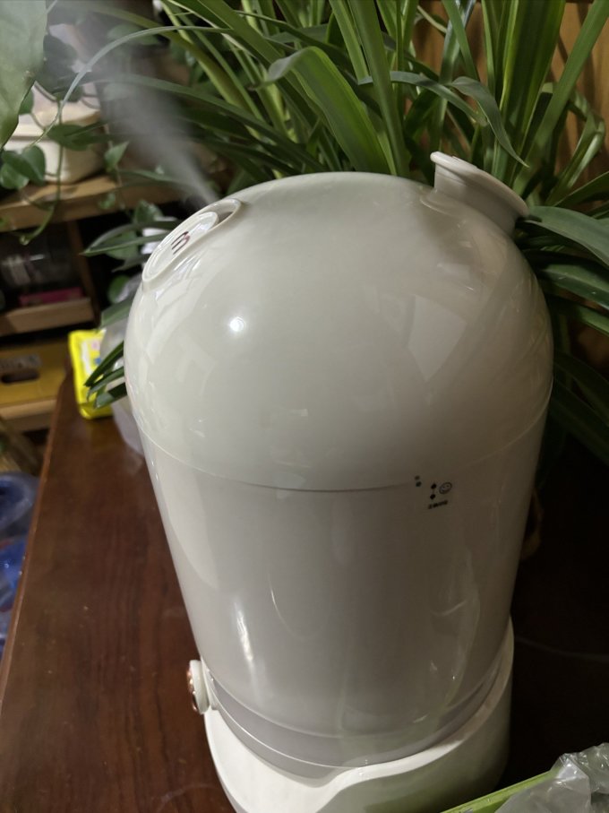摩飞加湿器