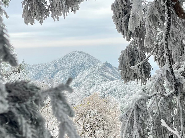 冬天的南岳衡山去看雾凇云海吧