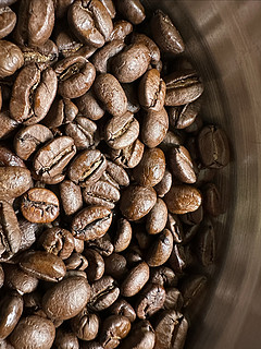 咖啡豆会自己出油