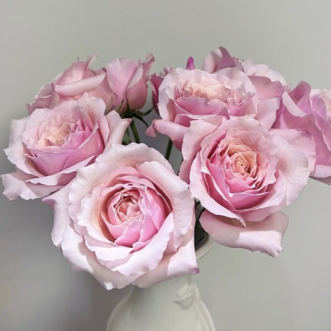 鲜花绿植