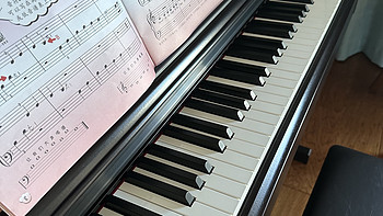 初学者入门电钢琴怎么选,哪个牌子的好？性价比高？
