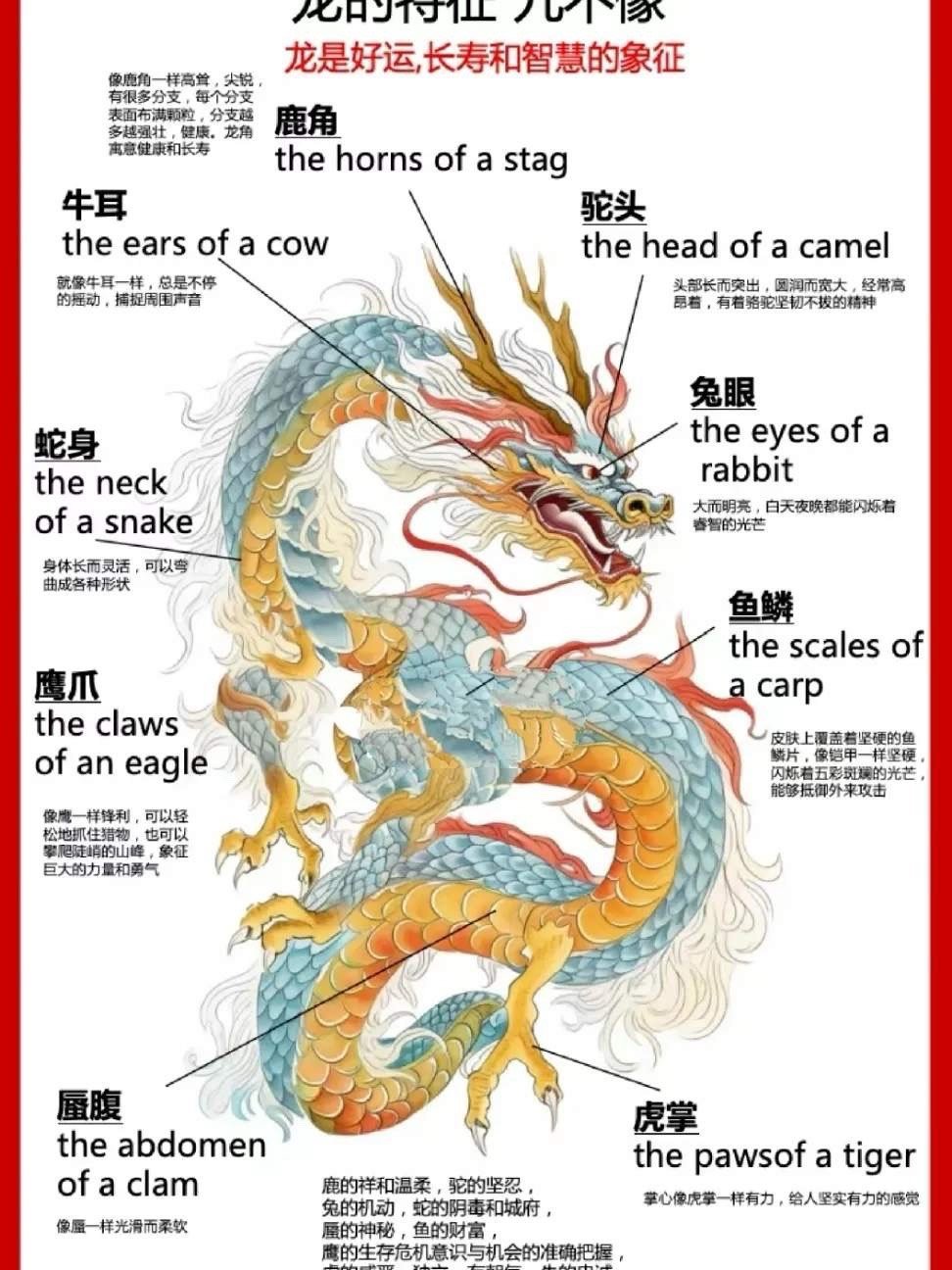 火焰之舞：火龙的炽热之力