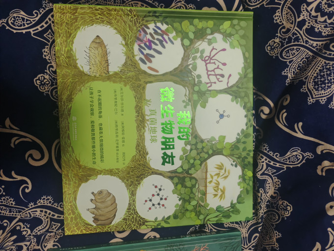中国水利水电出版社中小学课外读物