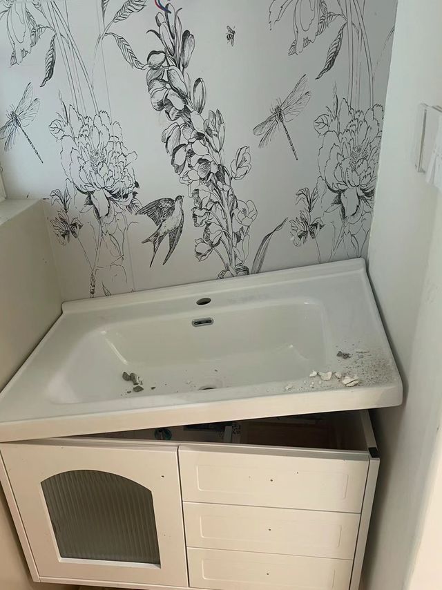 两个浴室柜，全都遇到大问题